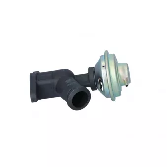 Vanne EGR NRF 48616