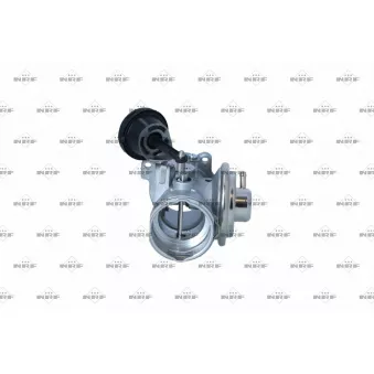 Vanne EGR NRF 48618