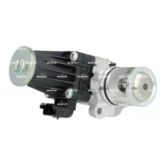 Vanne EGR NRF 48637