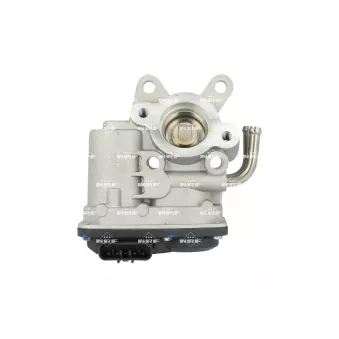 Vanne EGR NRF 48659