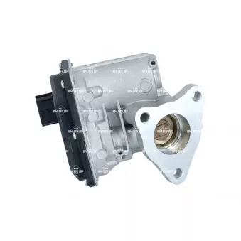 Vanne EGR NRF 48700