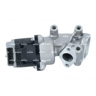 Vanne EGR NRF 48714