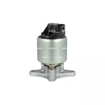 Vanne EGR NRF 48719