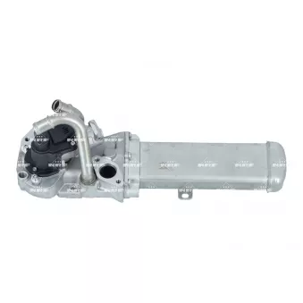 Vanne EGR NRF 48723