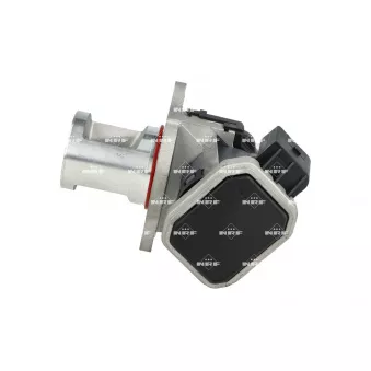 Vanne EGR NRF 48728
