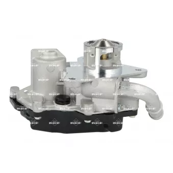 Vanne EGR NRF 48743