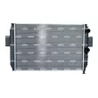 Radiateur, refroidissement du moteur NRF 51564 - Visuel 1