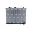 Radiateur, refroidissement du moteur NRF 52233 - Visuel 1