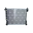 Radiateur, refroidissement du moteur NRF 53046 - Visuel 1