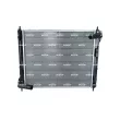 Radiateur, refroidissement du moteur NRF 53061 - Visuel 1