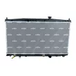 Radiateur, refroidissement du moteur NRF 53094 - Visuel 1