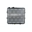 Radiateur, refroidissement du moteur NRF 53151 - Visuel 1