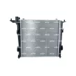 Radiateur, refroidissement du moteur NRF 53164 - Visuel 3