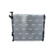 Radiateur, refroidissement du moteur NRF 53174 - Visuel 3