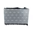 Radiateur, refroidissement du moteur NRF 53259 - Visuel 1