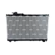 Radiateur, refroidissement du moteur NRF 53273 - Visuel 1