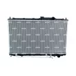 Radiateur, refroidissement du moteur NRF 53283 - Visuel 1