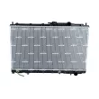 Radiateur, refroidissement du moteur NRF 53304 - Visuel 1