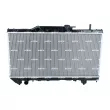 Radiateur, refroidissement du moteur NRF 53336 - Visuel 1