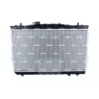 Radiateur, refroidissement du moteur NRF 53356 - Visuel 3
