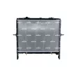 Radiateur, refroidissement du moteur NRF 53369 - Visuel 1