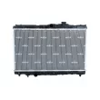 Radiateur, refroidissement du moteur NRF 53399 - Visuel 1