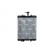 Radiateur, refroidissement du moteur NRF 53459A - Visuel 1