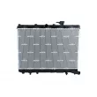 Radiateur, refroidissement du moteur NRF 53486 - Visuel 1