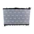 Radiateur, refroidissement du moteur NRF 53504 - Visuel 1