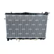 Radiateur, refroidissement du moteur NRF 53505 - Visuel 1