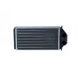 Système de chauffage NRF 53561 - Visuel 1