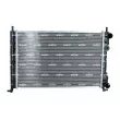 Radiateur, refroidissement du moteur NRF 53600 - Visuel 1