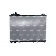 Radiateur, refroidissement du moteur NRF 53702 - Visuel 1