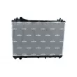 Radiateur, refroidissement du moteur NRF 53915 - Visuel 1