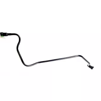 Durite de radiateur WINTECH AUTO
