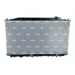 Radiateur, refroidissement du moteur NRF 53971 - Visuel 1