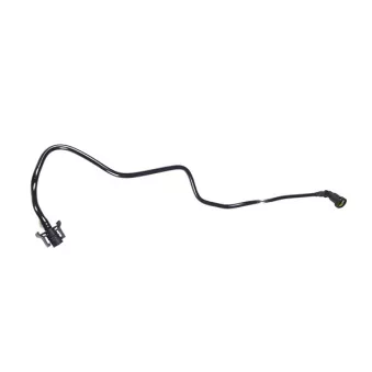 Durite de radiateur WINTECH AUTO