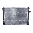 Radiateur, refroidissement du moteur NRF 55326 - Visuel 1