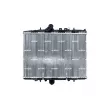 Radiateur, refroidissement du moteur NRF 55346 - Visuel 1