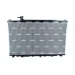 Radiateur, refroidissement du moteur NRF 58458 - Visuel 1
