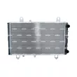 Radiateur, refroidissement du moteur NRF 58749 - Visuel 1