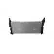 Radiateur, refroidissement du moteur NRF 59236 - Visuel 1