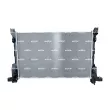 Radiateur, refroidissement du moteur NRF 59295 - Visuel 1