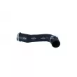 Gaine de suralimentation NRF 166185 - Visuel 1