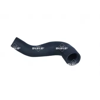 Gaine de suralimentation NRF 166244