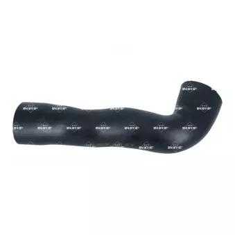 Gaine de suralimentation NRF 166355