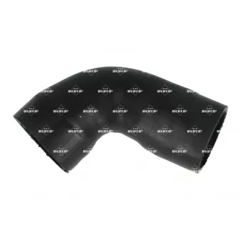 Gaine de suralimentation NRF 166464