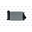 Intercooler, échangeur NRF 309021 - Visuel 1