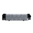 Intercooler, échangeur NRF 309028 - Visuel 1