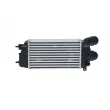 Intercooler, échangeur NRF 309029 - Visuel 3